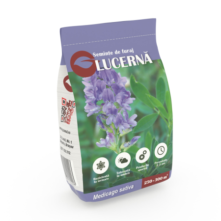 Lucerna Gazonul