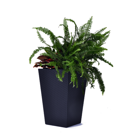 Ghiveci Keter Rattan Planter M