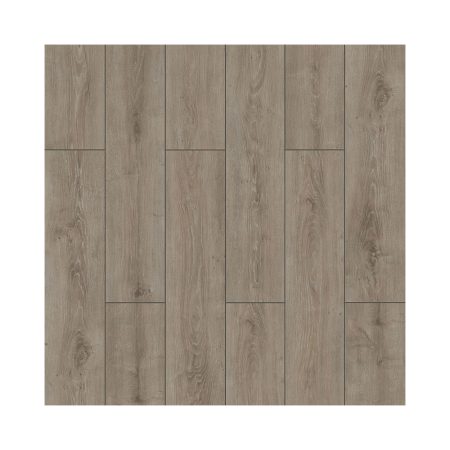 Parchet laminat 8 mm Kastamonu FW007 Parrot