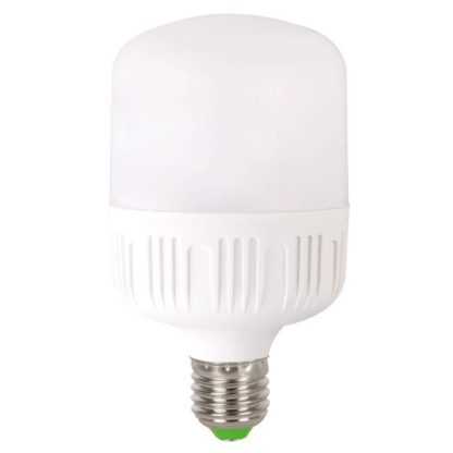 Bec LED 30W E27 6500K