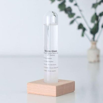 Barometru Storm Glass Tube