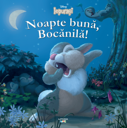 Disney. Iepurasi. Noapte buna, Bocanila!